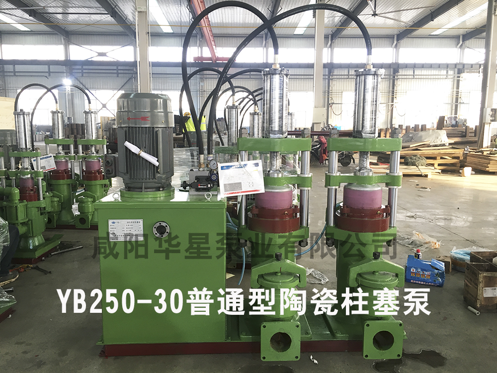 普通型號(hào)的YB250-30陶瓷柱塞泵