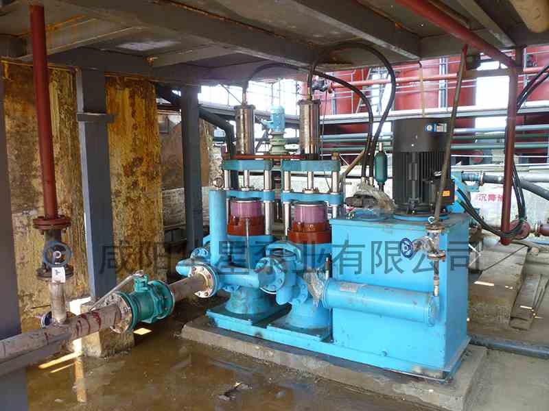 化工行業用陶瓷柱塞泵現場